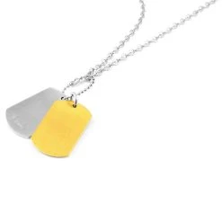 Fort Tempus Collier à Pendentifs Plaques Militaires Couleur Argent Et Or -Arkai Atlas Shop 19 1 49