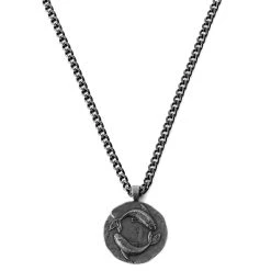 Lucleon Astro | Collier En Acier Inoxydable Argenté Avec Signe Astrologique Des Poissons