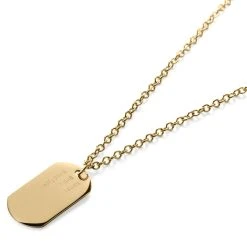 Lucleon Collier En Acier Doré à Plaque Militaire Classique -Arkai Atlas Shop 9 3.16324a1f1bd3ae3243e98449a313d83e