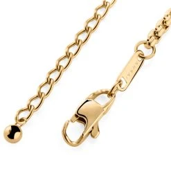 Arkai Atlas | Collier En Acier Doré à Pendentif étoile Polaire 13 Arkai Atlas | Collier En Acier Doré à Pendentif étoile Polaire -Arkai Atlas Shop atl lockg1 3